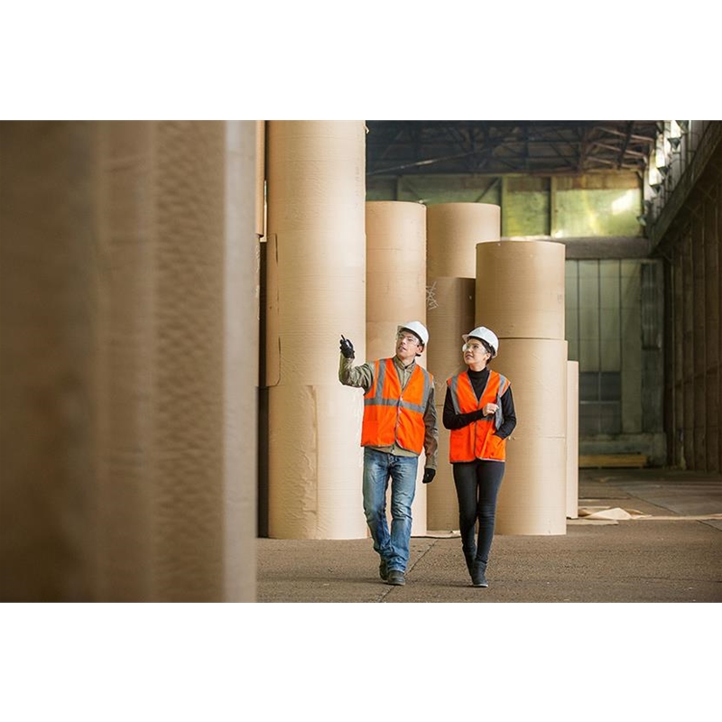 制浆和造纸行业