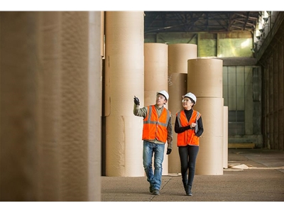 制浆和造纸行业